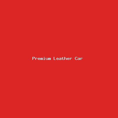 Premium Leather Car Seat Covers